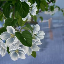 Схема вышивки «Дождливый.весенний день»