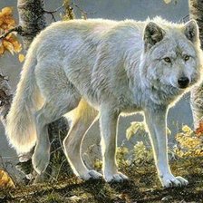 Схема вышивки «волк»