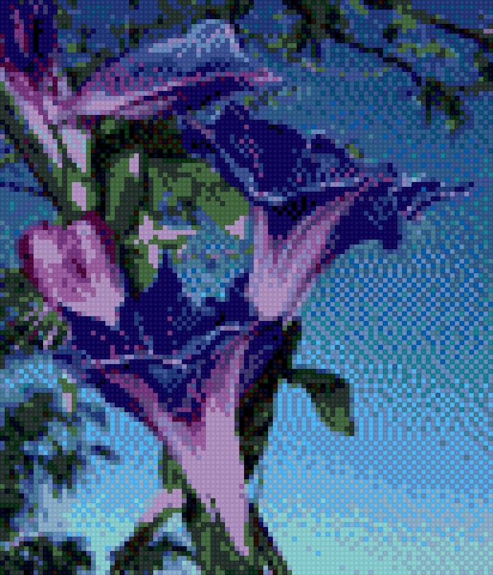 Вьюнок - предпросмотр