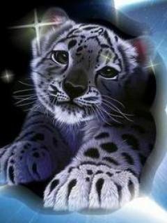 Барсик - оригинал