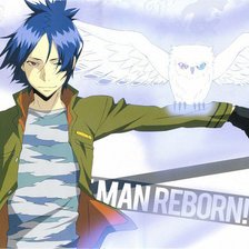 Схема вышивки «Мукуро»