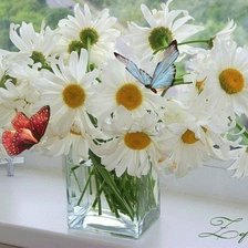 Схема вышивки «ромашки в стакане»