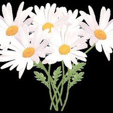 Схема вышивки «ромашки на чёрном фоне»