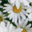 Предпросмотр схемы вышивки «сердце из ромашек» (№506508)
