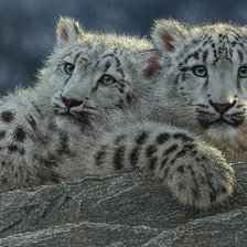 Схема вышивки «№506612»