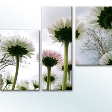 Схема вышивки «триптих астры»