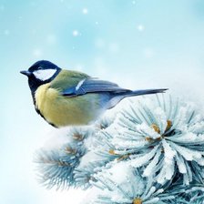 Схема вышивки «Синичка на веточке сосны»