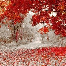 Схема вышивки «осень-зима»