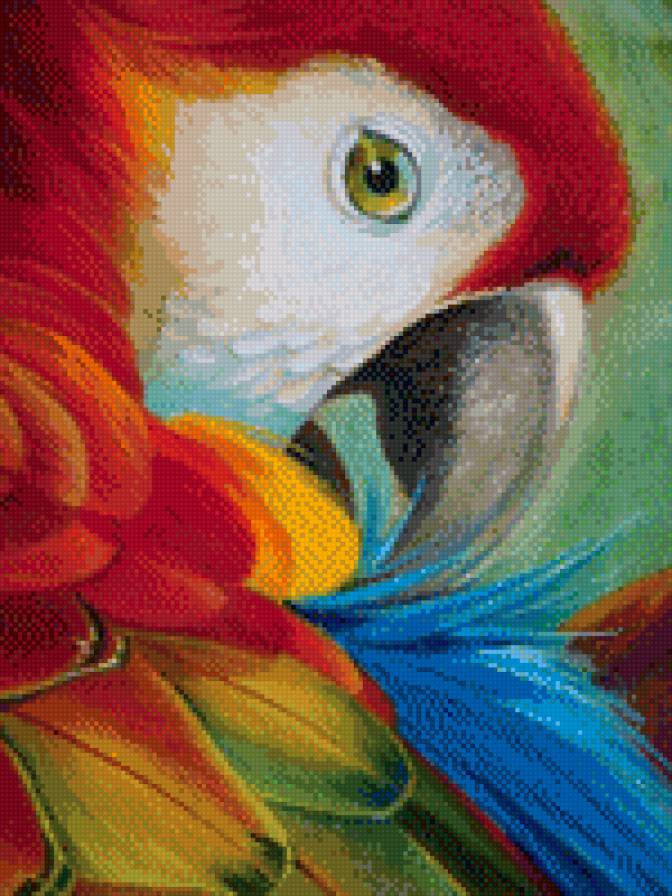 попугай - предпросмотр