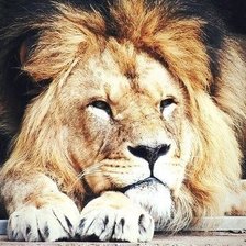 Схема вышивки «№507103»