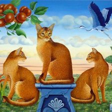 Схема вышивки «Рыжее трио»