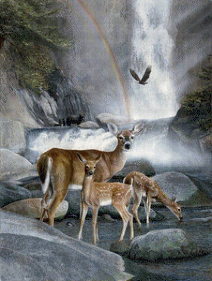 Серия "Пейзажи" - радуга, птицы, животные, олени, пейзаж, орлы, медведи, река - предпросмотр