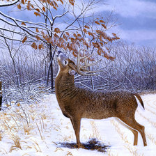 Схема вышивки «Серия "Пейзажи"»