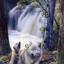 Схема вышивки «Серия "Волки"»