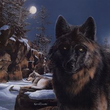 Схема вышивки «Серия "Волки"»