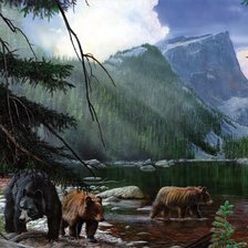 Схема вышивки «Серия "Медведи"»