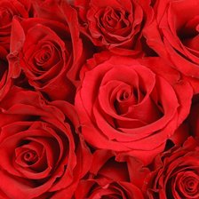 Схема вышивки «розы»