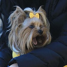 Схема вышивки «Йорк»