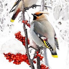 Схема вышивки «птицы»