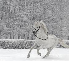 Схема вышивки «№4578»