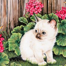 Схема вышивки «котенок у забора»