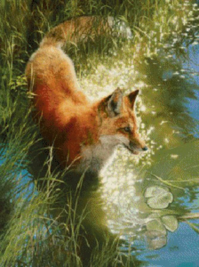 на охоте - предпросмотр