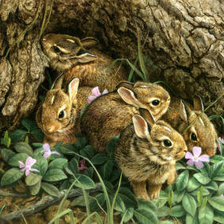 Схема вышивки «зайчата»