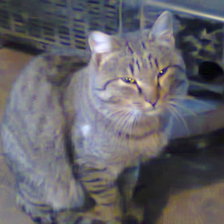 Схема вышивки «№508109»