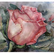 Схема вышивки «Роза (акварель)»