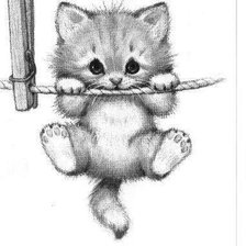 Схема вышивки «Котенок - держись!»