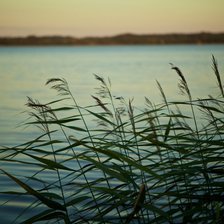 Схема вышивки «Тишь»