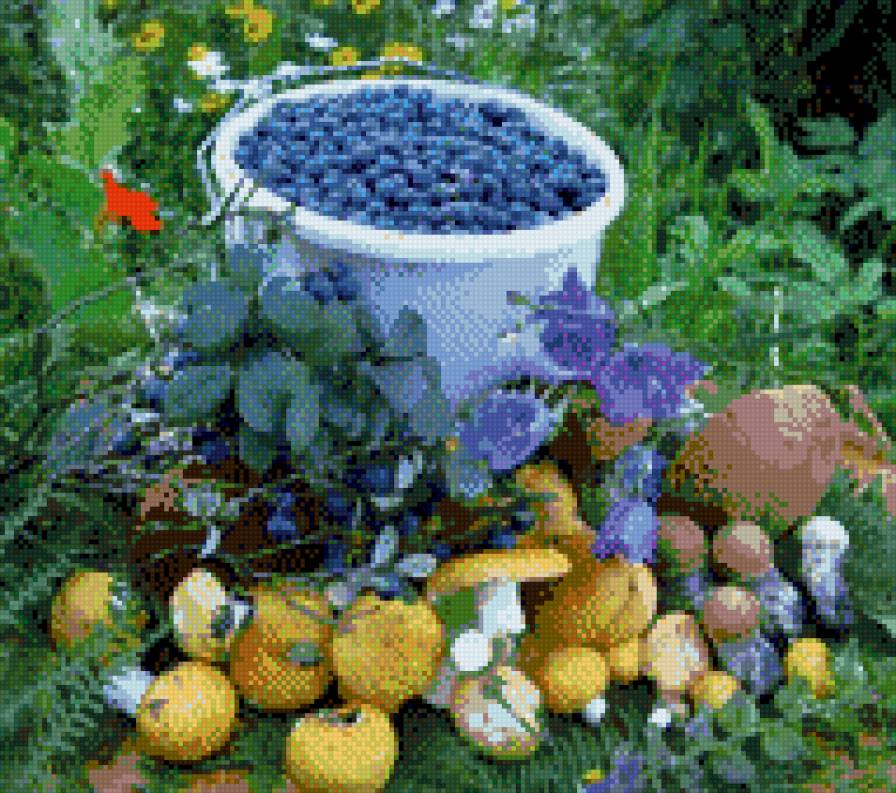 черника - предпросмотр