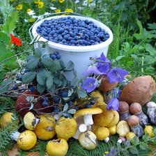 Схема вышивки «черника»