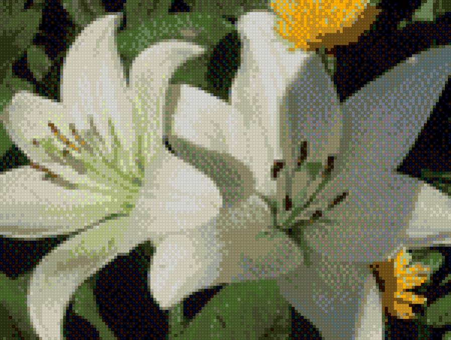 Белые лилии - предпросмотр