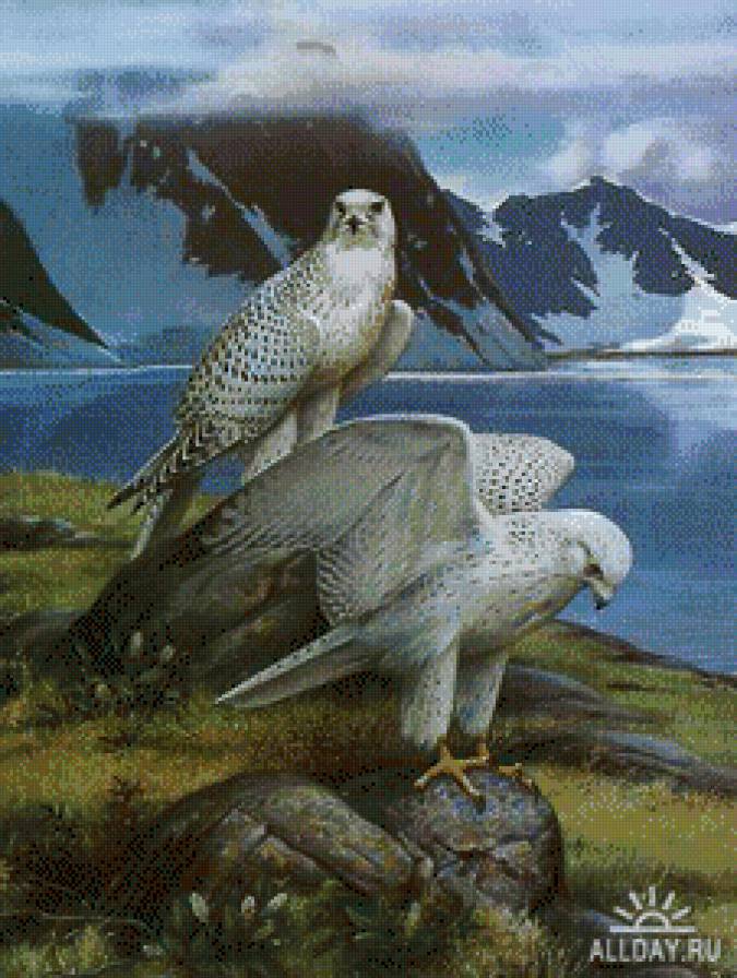 №508308 - хишник, птицы, пейзаж, орел, горы - предпросмотр