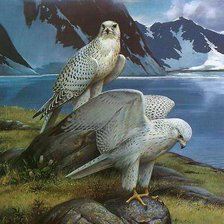 Схема вышивки «№508308»