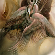 журавли фото Ли Богл