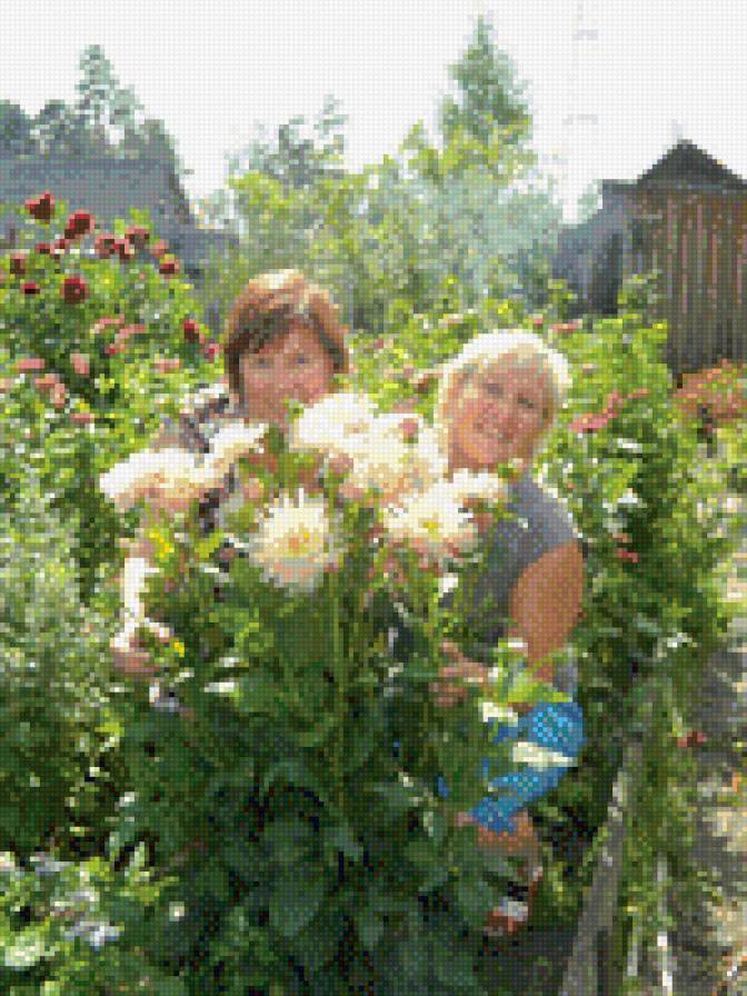 сестренки - люди - предпросмотр