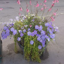 Схема вышивки «№508372»