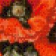 Предпросмотр схемы вышивки «маки» (№508395)