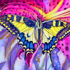 Схема вышивки «бабочка»