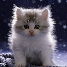 Схема вышивки «Котеночек»