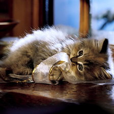 Схема вышивки «Котенок»