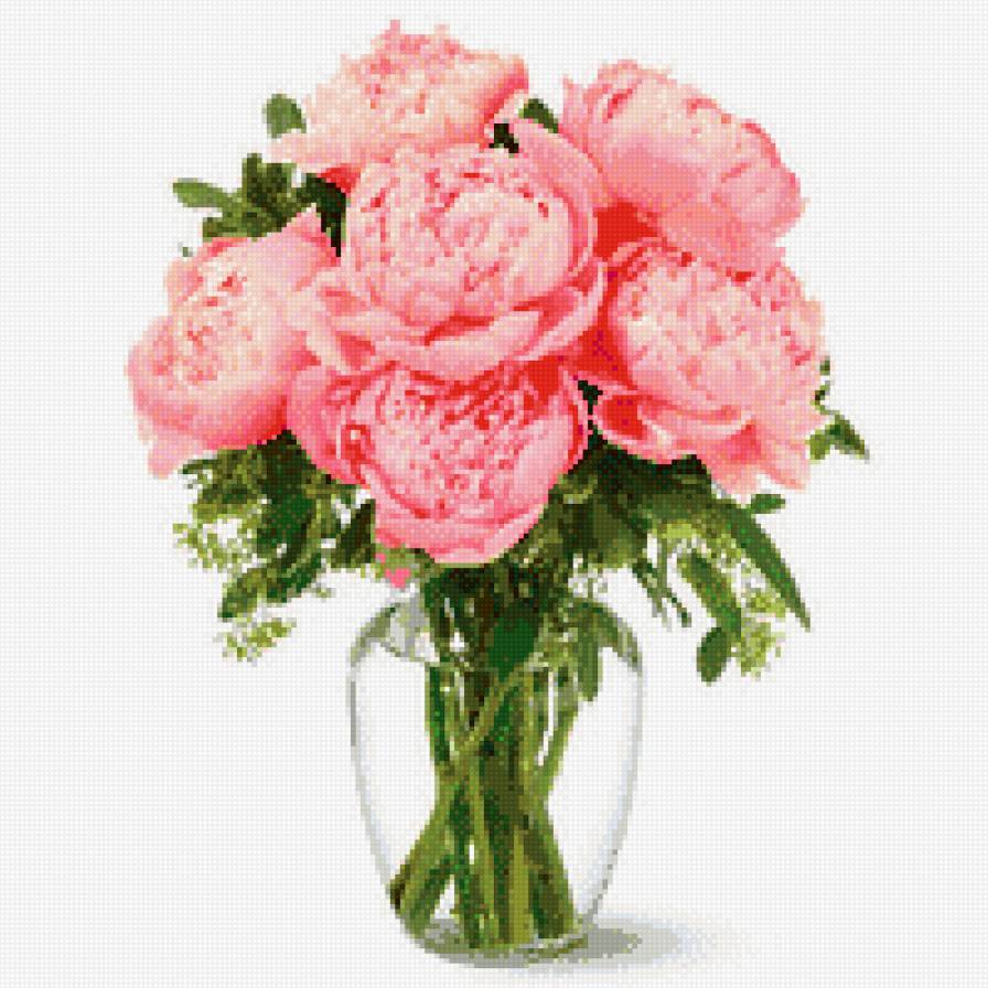 Букет пионов - цветы, пион, букет - предпросмотр