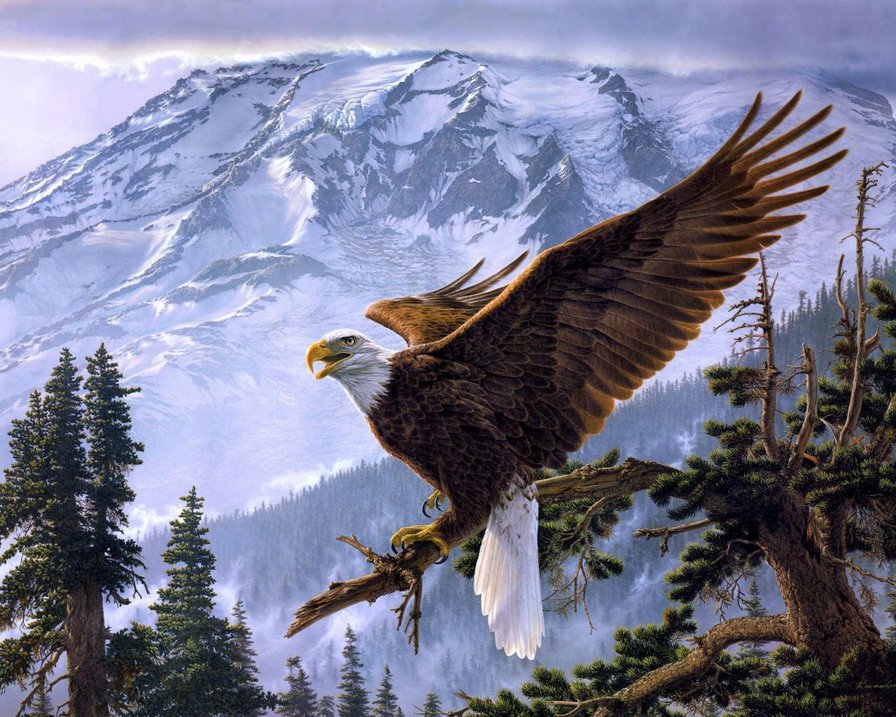 Полет - пейзаж, птица, горы, снег - оригинал