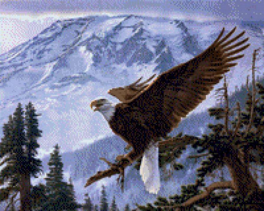 Полет - горы, птица, снег, пейзаж - предпросмотр