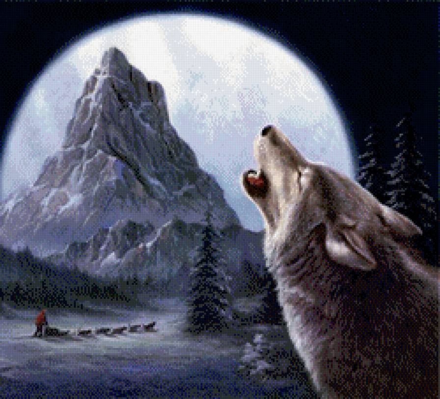 волк аляска - зима, горы.снег, волк, аляска - предпросмотр