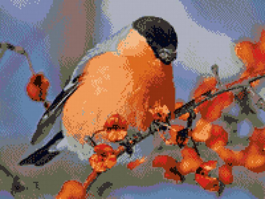 снегирь - птицы - предпросмотр