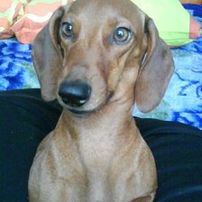 Схема вышивки «бастюшка»