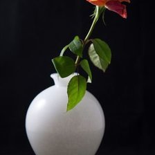 Схема вышивки «роза в вазе»